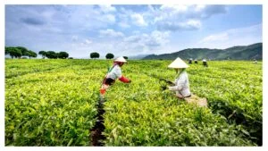 कृषि से जुड़े कोर्स कराने वाले 10 अच्छे कॉलेज